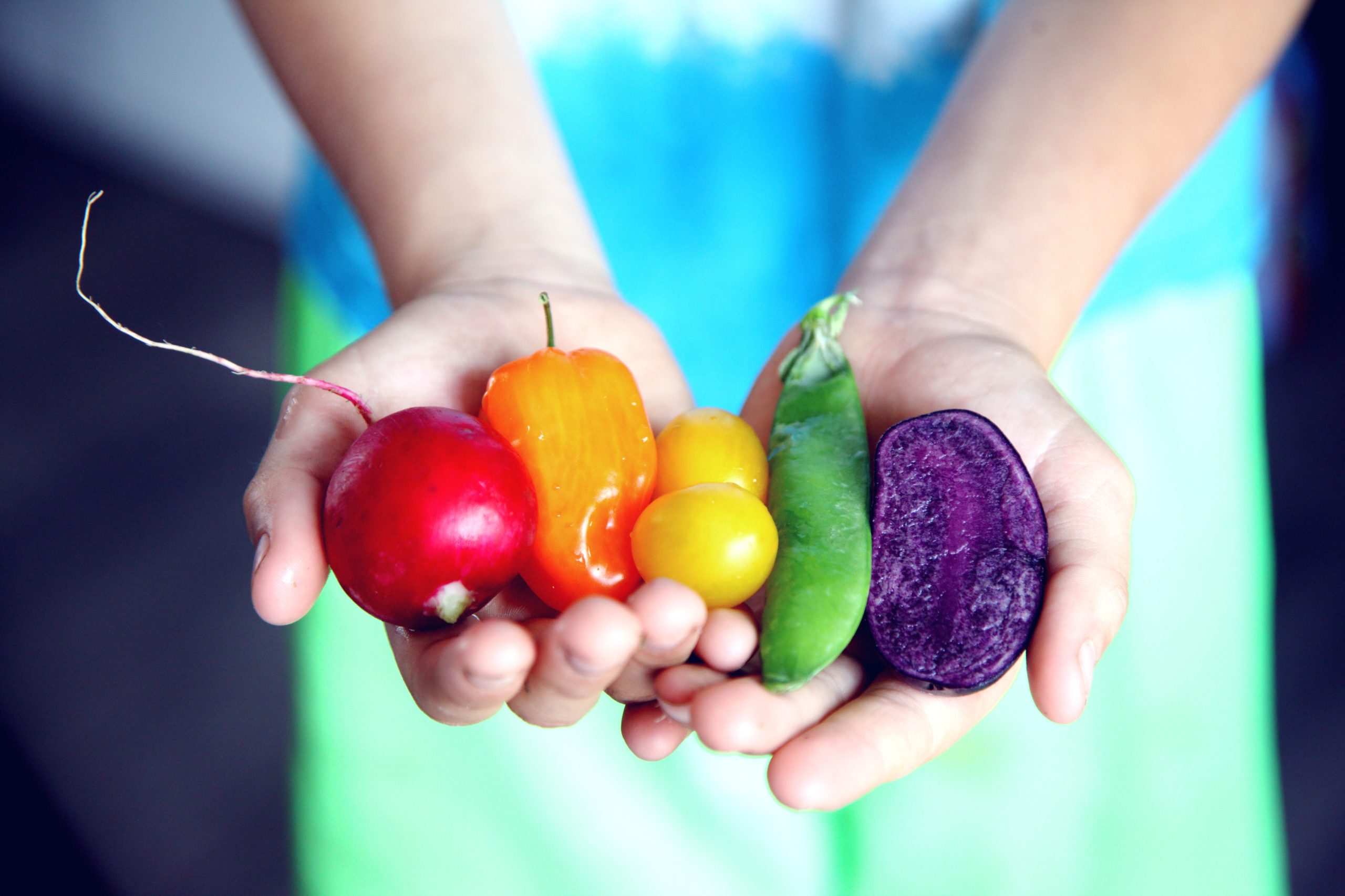 Two hands holding fruit and vegetables in red, orange, yellow, green and purple colours