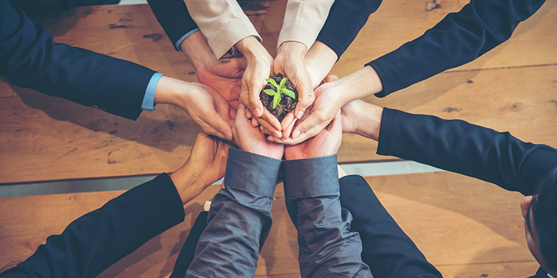 Team with hands together with plant growing in hands